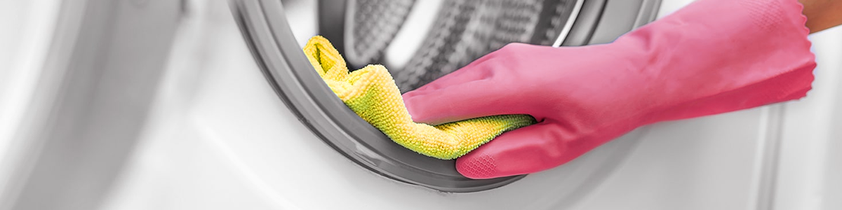 Limpeza da máquina de lavar - parte interna | Louro